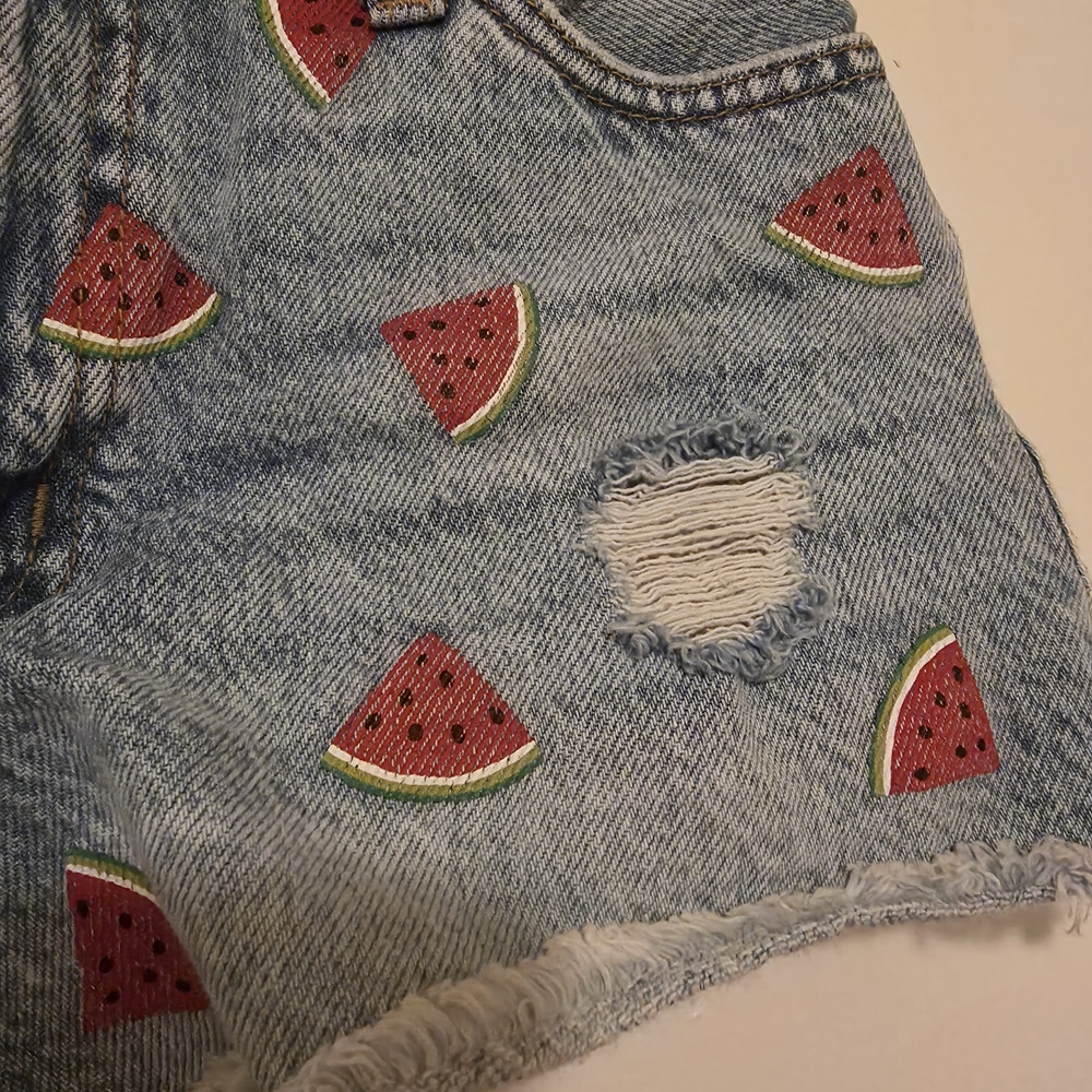 Aeropostale Light Blue Denim Shorts with Daisy and Watermelon Prints - Picture 2 of 6